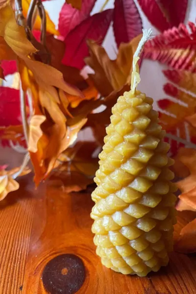 świeca z wosku pszczelego szyszka