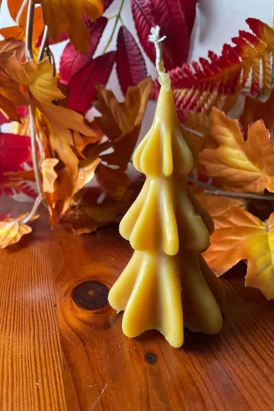 świeca z wosku choinka